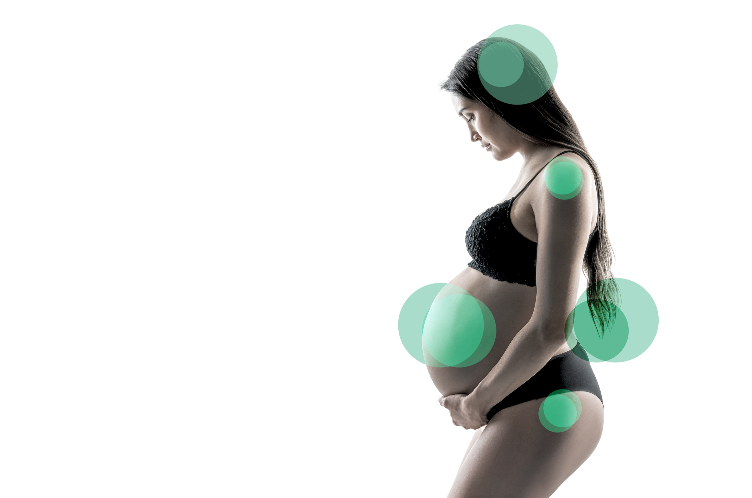 Women's Health Elegant Branch Illustration